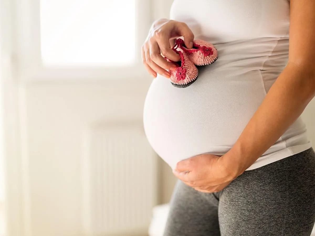 Czy bostonka jest groźna dla kobiet w ciąży? Ryzyko i zalecenia dla ciężarnych Czy bostonka jest groźna dla kobiet w ciąży? Ryzyko i zalecenia dla ciężarnych