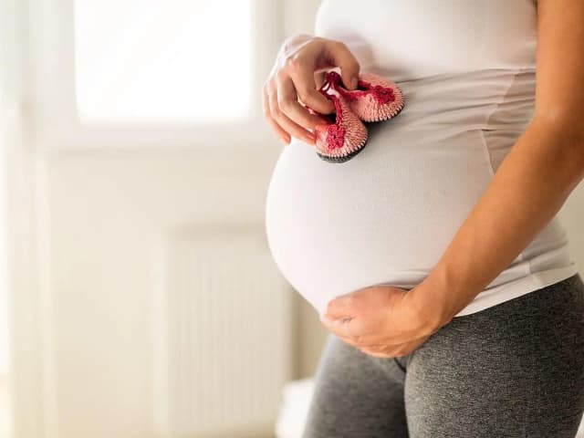 Czy bostonka jest groźna dla kobiet w ciąży? Ryzyko i zalecenia dla ciężarnych Czy bostonka jest groźna dla kobiet w ciąży? Ryzyko i zalecenia dla ciężarnych